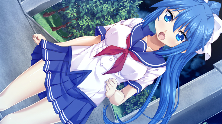 Imouto wa Tadaima Hatsujouchuu 3 ~Erika no Ana wa Futtoi no ga Hairippanashi~