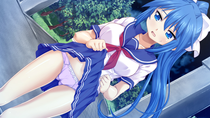 Imouto wa Tadaima Hatsujouchuu 3 ~Erika no Ana wa Futtoi no ga Hairippanashi~