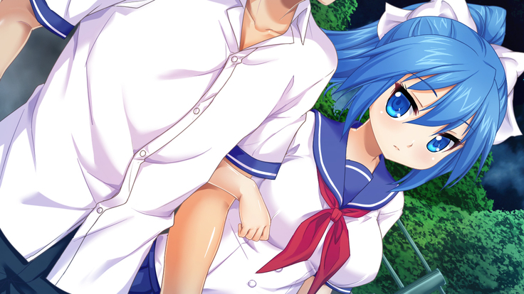 Imouto wa Tadaima Hatsujouchuu 3 ~Erika no Ana wa Futtoi no ga Hairippanashi~