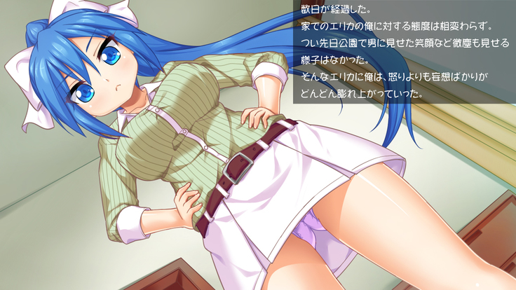 Imouto wa Tadaima Hatsujouchuu 3 ~Erika no Ana wa Futtoi no ga Hairippanashi~