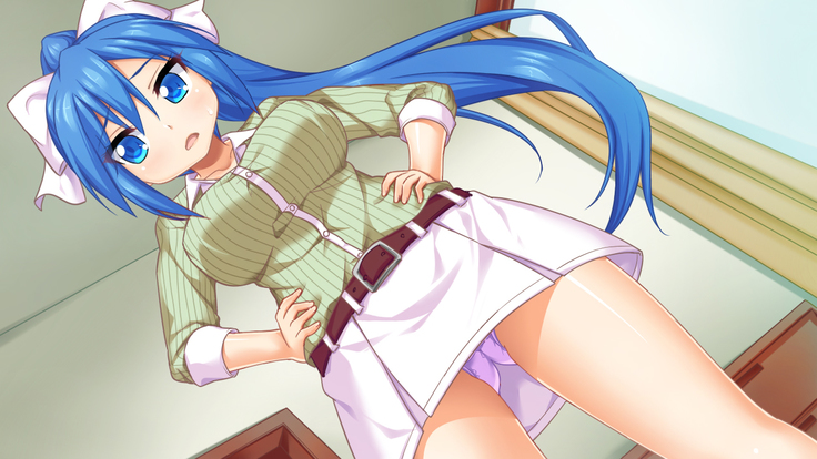 Imouto wa Tadaima Hatsujouchuu 3 ~Erika no Ana wa Futtoi no ga Hairippanashi~