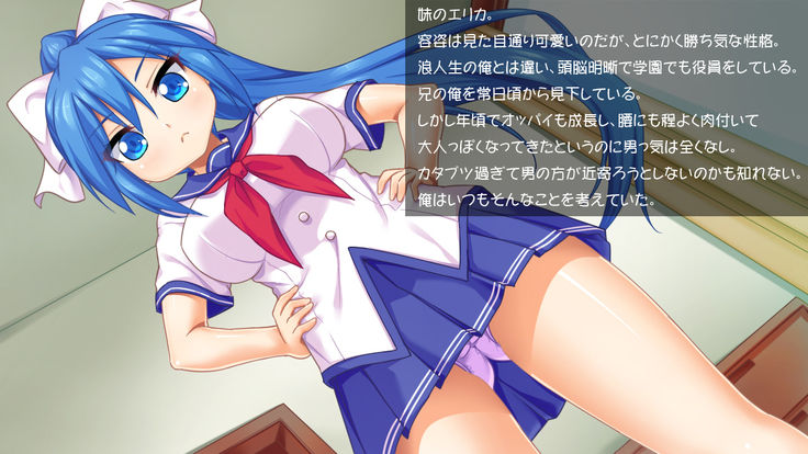 Imouto wa Tadaima Hatsujouchuu 3 ~Erika no Ana wa Futtoi no ga Hairippanashi~