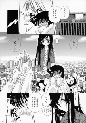 王女様とマスターシュ Page #36