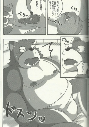 DSKY5 - Page 23