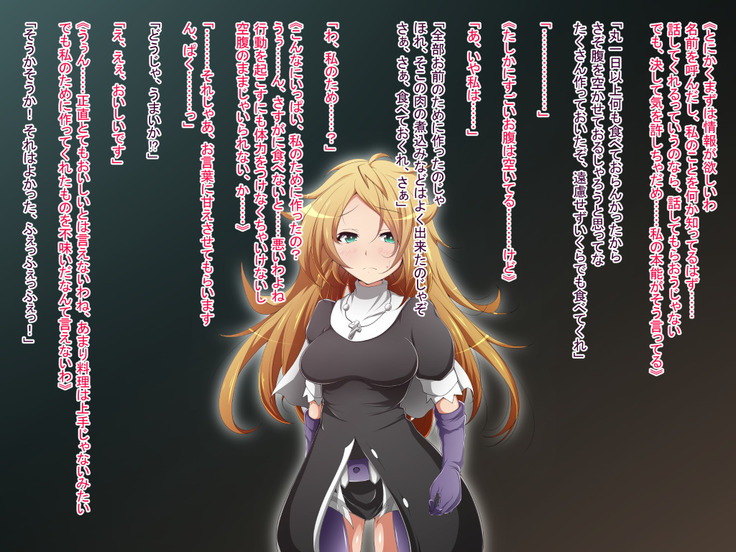 Hero Rengou Sennou Kanraku no Wana ~Battle Sister Hen~