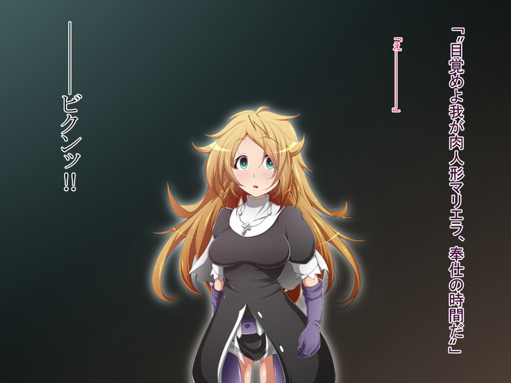 Hero Rengou Sennou Kanraku no Wana ~Battle Sister Hen~