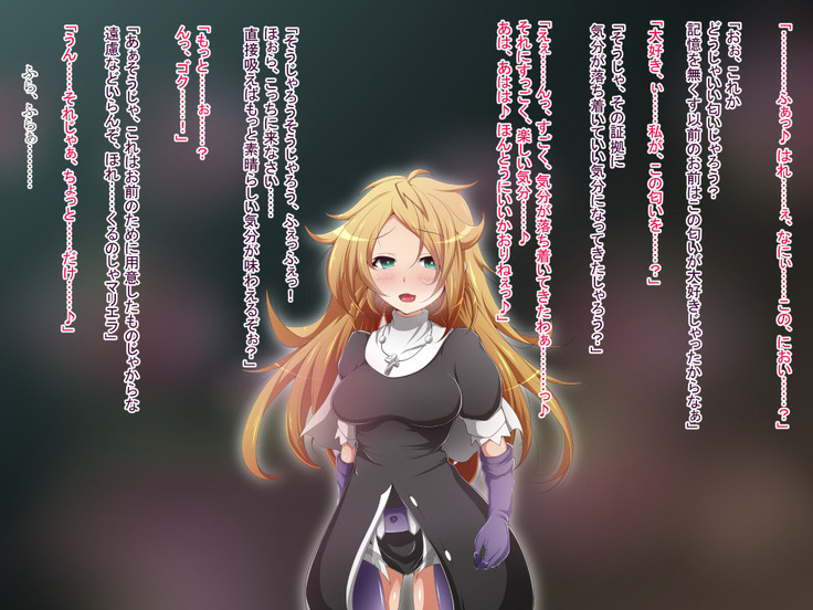 Hero Rengou Sennou Kanraku no Wana ~Battle Sister Hen~