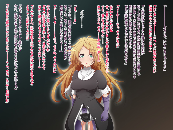 Hero Rengou Sennou Kanraku no Wana ~Battle Sister Hen~
