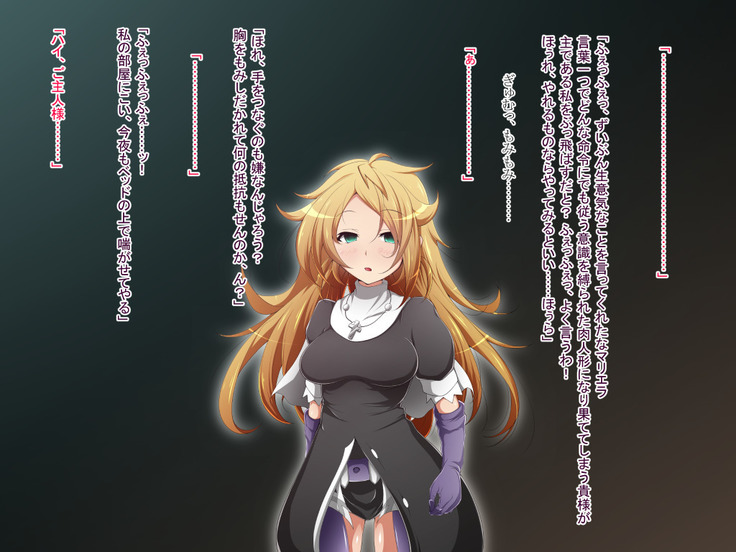 Hero Rengou Sennou Kanraku no Wana ~Battle Sister Hen~