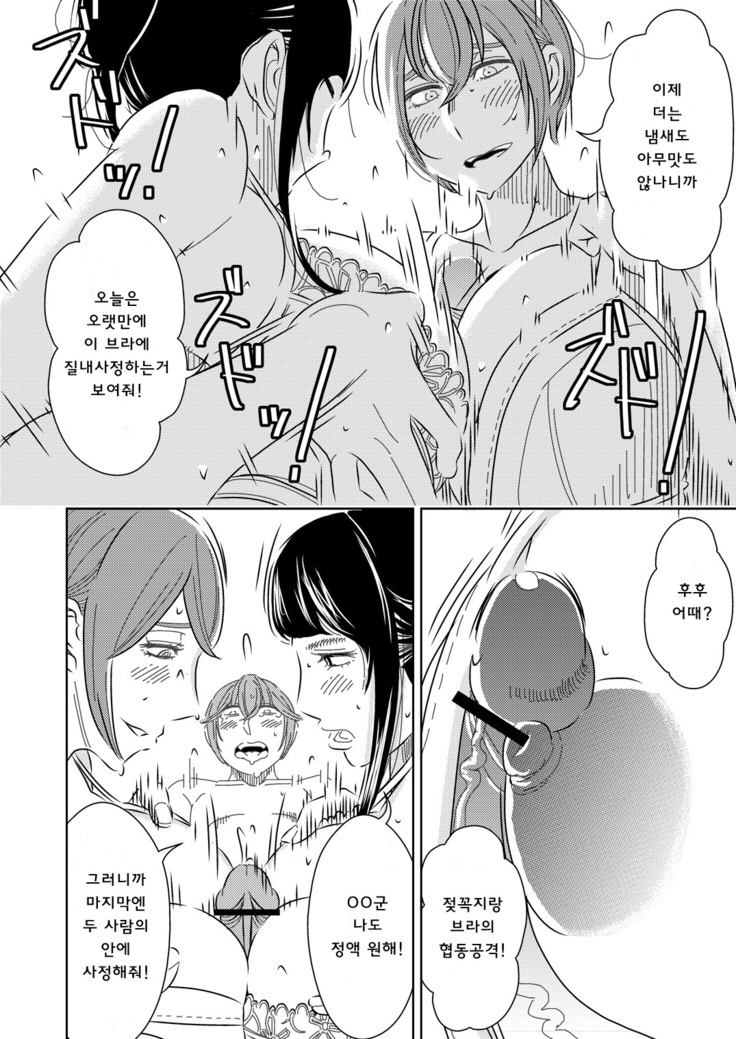 Akogare no Senpai ni ~Boku no Onee-chan!~ | 동경하는 선배와 나의 누나