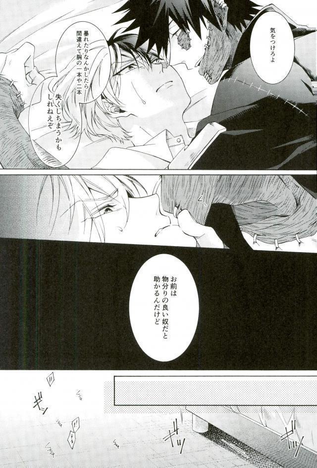 Hariko no Tora no Aishikata