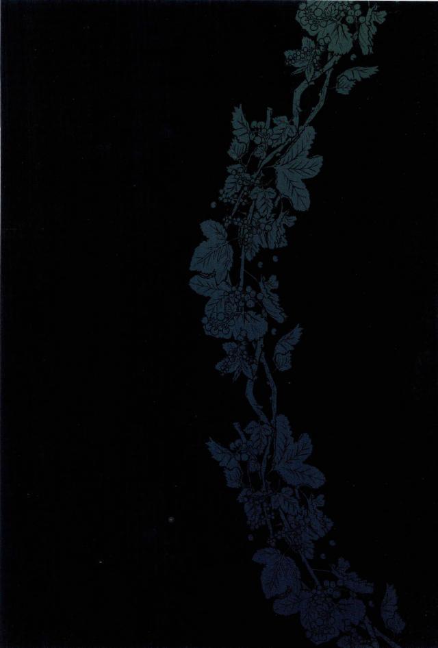 Hariko no Tora no Aishikata