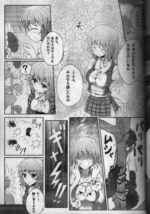 Touhou Ishokujuu Page #24