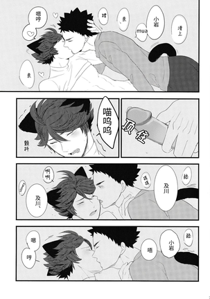 我想成为小岩的猫1 I want to become Iwa-chan's Cat! 1 - Page 26