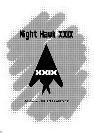 Night Hawk XXIX