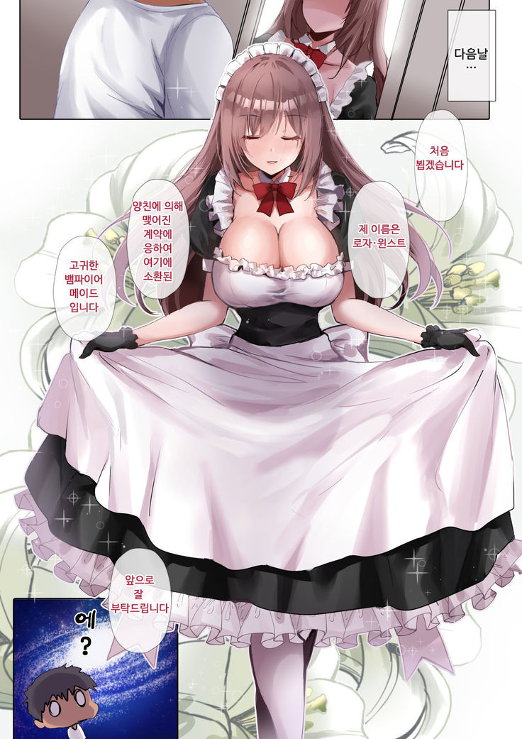 Do-S na Maid-san wa Osuki desu ka?