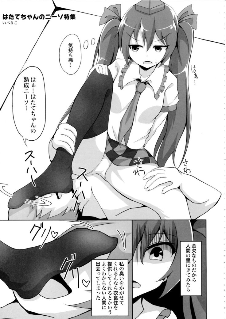 Touhou Nioi Feti Goudoushi ~Shuuki Reitaisai~Yuuga ni Nioe, Otome no Nioi -Border of smell-