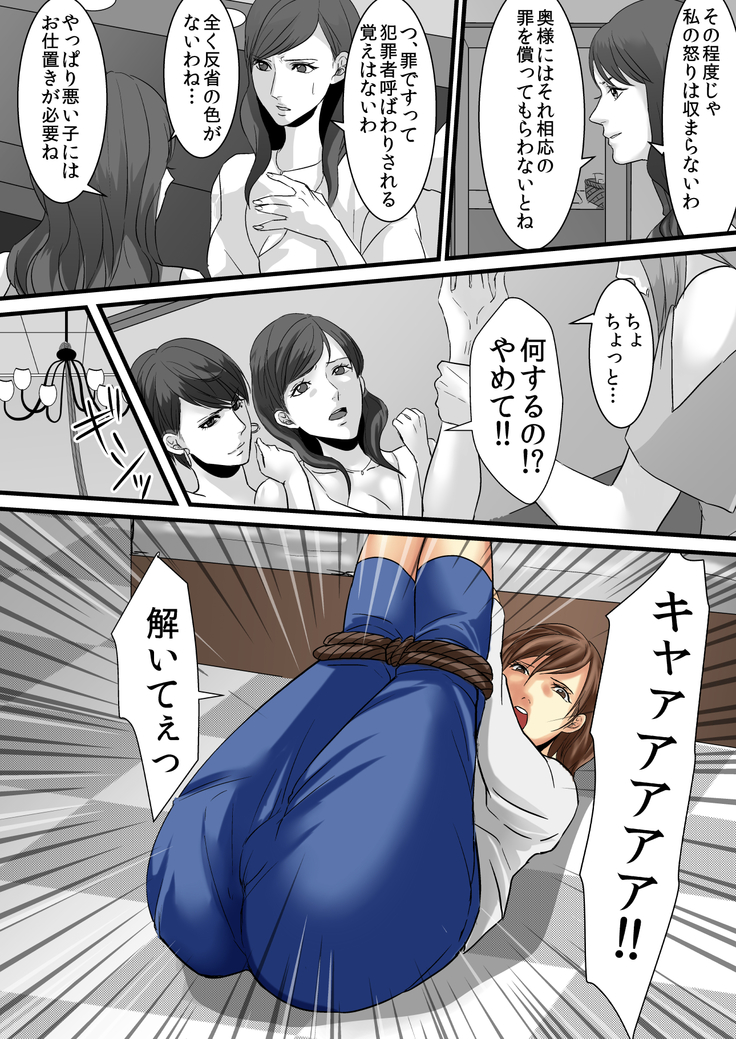 セレブ婦人達への復讐○辱 ～不倫の代償を浣腸で償わされた女達～