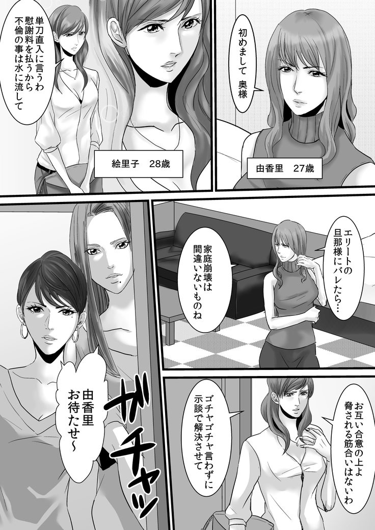 セレブ婦人達への復讐○辱 ～不倫の代償を浣腸で償わされた女達～