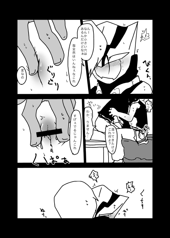 いちばんはじめのザプツェ本
