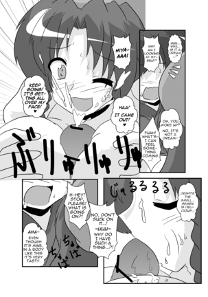 Touhou TS Monogatari ~Meiling-Hen~ Page #17