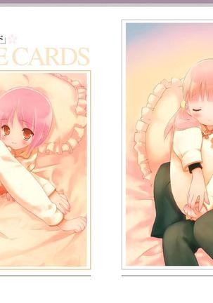 Sakura Musubi Visual Fanbook Page #14