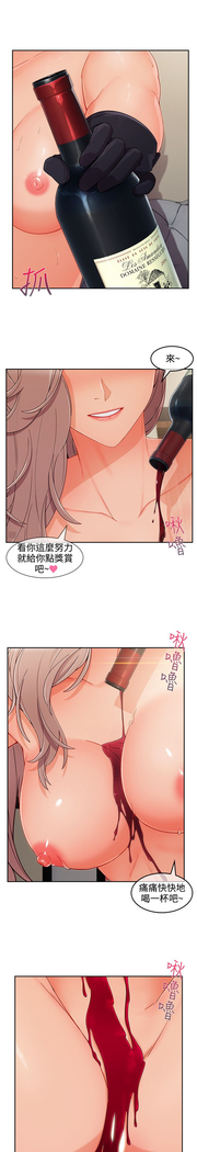 Lady Garden 淑女花苑 第三季