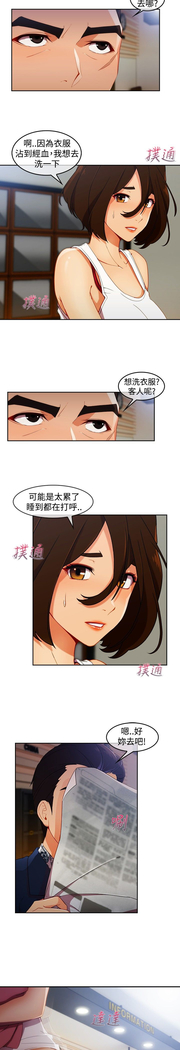 Lady Garden 淑女花苑 第三季