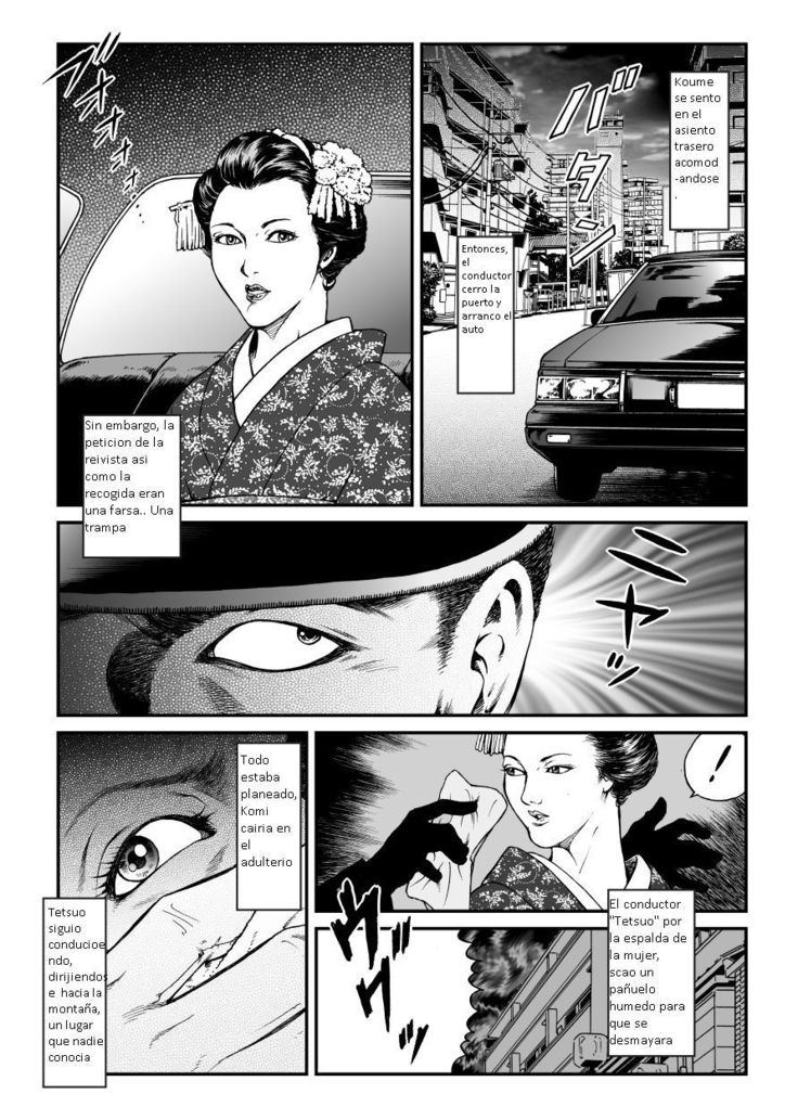 Tetsuo 1 El Secuestro de la maiko de Gion