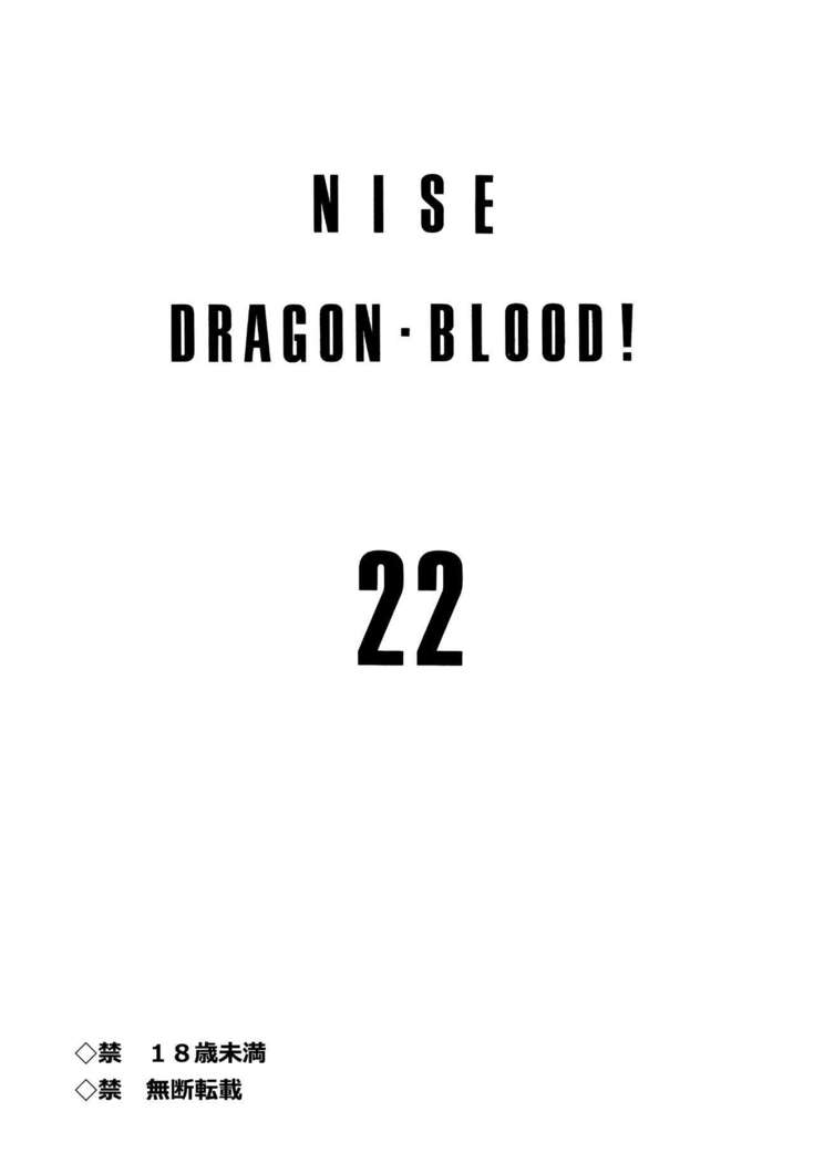 Nise Dragon Blood! 22.