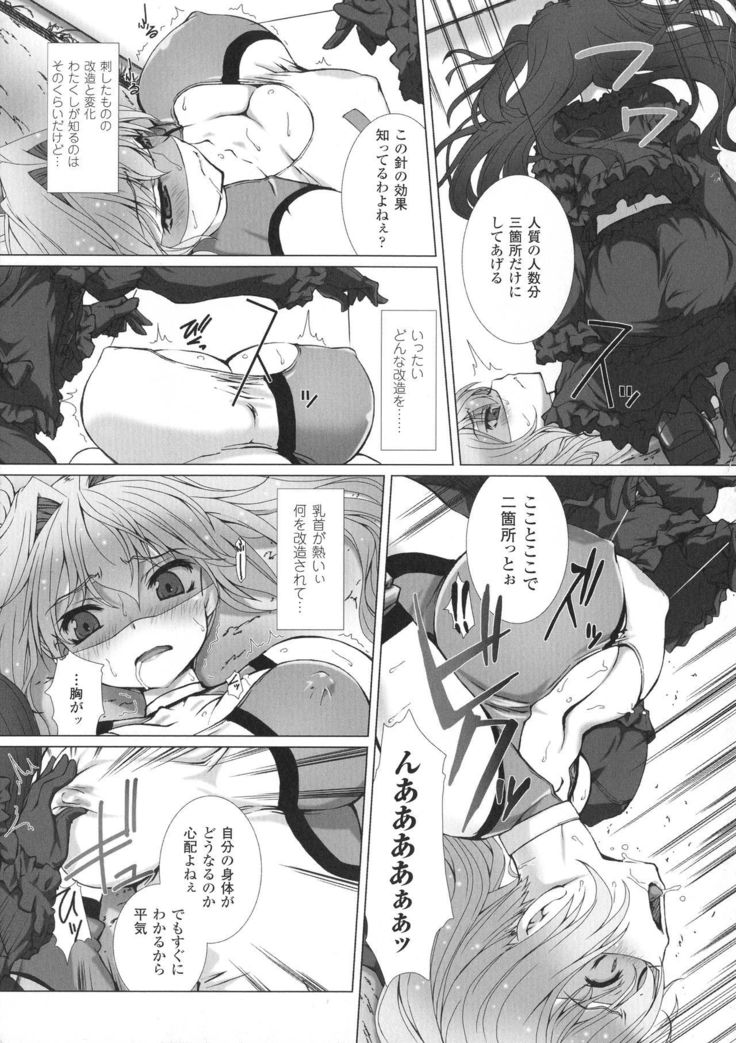 Seigi no Heroine Kangoku File DX Vol. 8