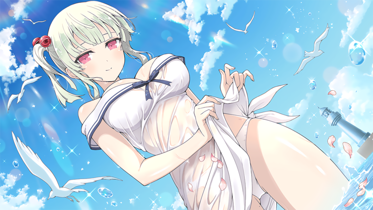 Master Ninja Senran Kagura NEW LINK - Swimsuits