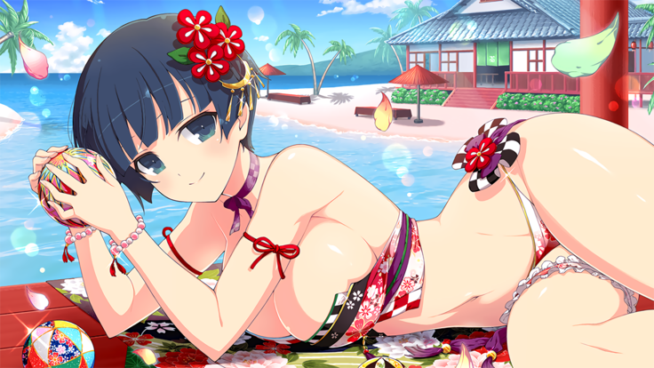 Master Ninja Senran Kagura NEW LINK - Swimsuits