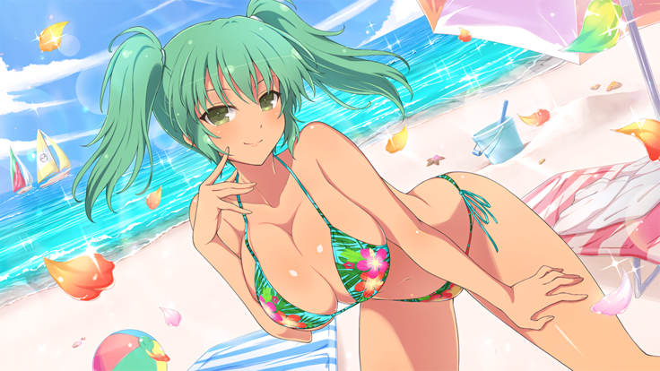 Master Ninja Senran Kagura NEW LINK - Swimsuits