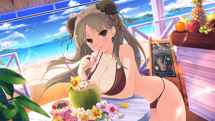 Master Ninja Senran Kagura NEW LINK - Swimsuits