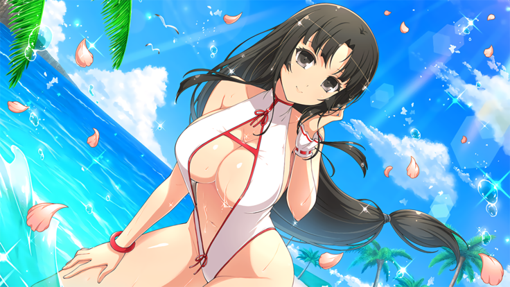 Master Ninja Senran Kagura NEW LINK - Swimsuits