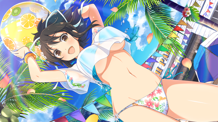 Master Ninja Senran Kagura NEW LINK - Swimsuits