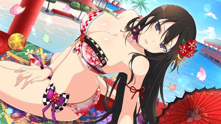 Master Ninja Senran Kagura NEW LINK - Swimsuits