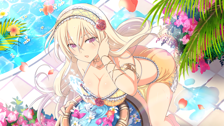 Master Ninja Senran Kagura NEW LINK - Swimsuits