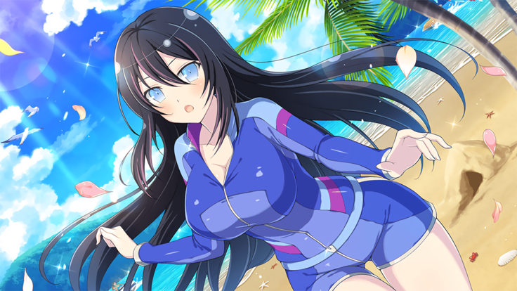 Master Ninja Senran Kagura NEW LINK - Swimsuits