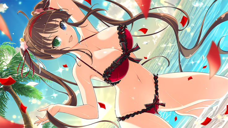 Master Ninja Senran Kagura NEW LINK - Swimsuits