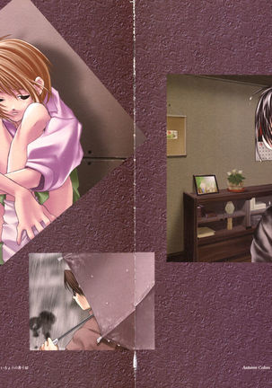 Ichou no Mau Koro Art Collection Page #41