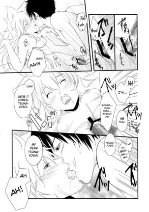 Dimorphotheca - Page 25