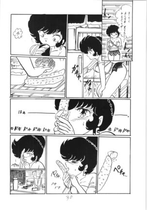 Ranma no Manma 3 - Page 29