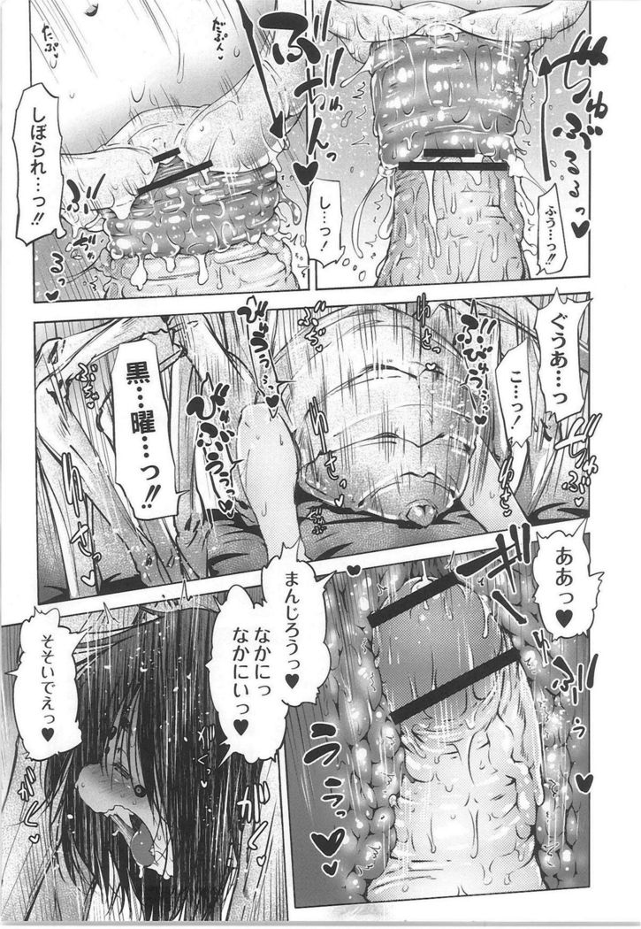 QooPA2015-06 No,11