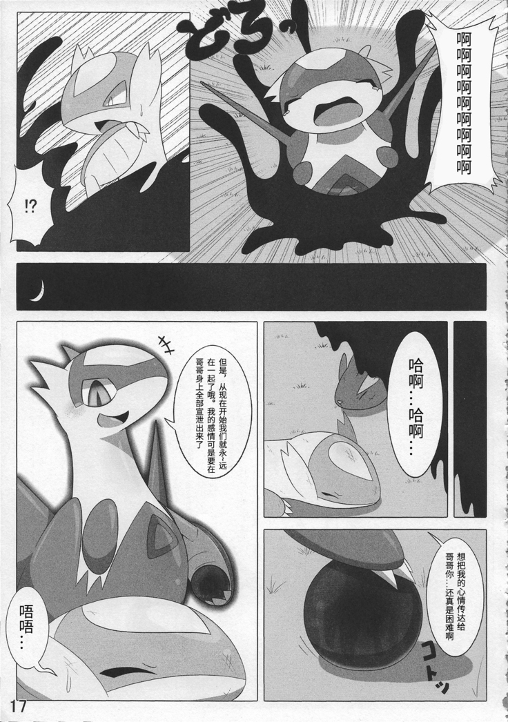Pokeochi Ni