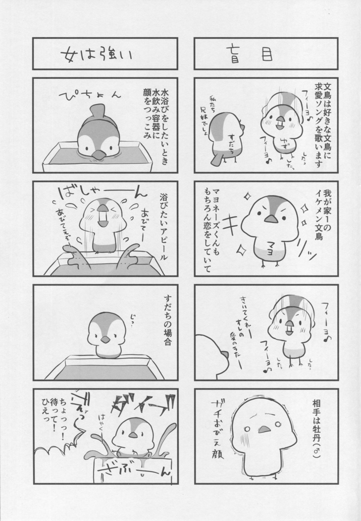 BB-chan no Senpai Yarisute Daisakusen | BB의 선배 먹고버리기 대작전