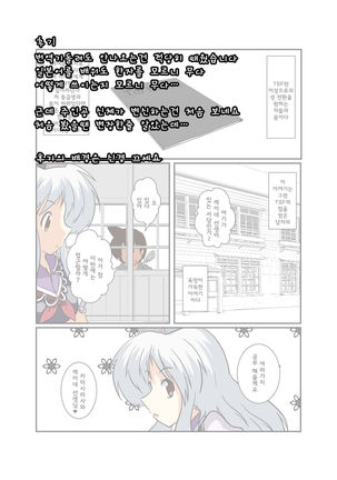 Touhou TS Monogatari ~Keine Hen~ Page #20