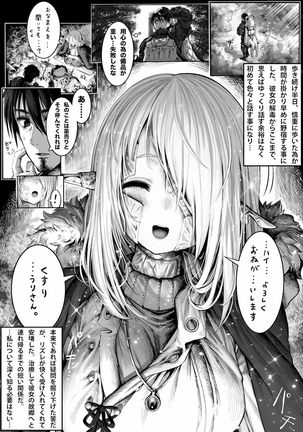 Boroboro no Elf-san wo Shiawase ni Suru Kusuriuri-san Page #29