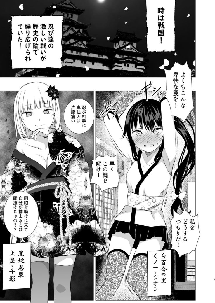 Oshinobi Shoujo no Asobikata